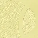 snaileyepatch_07_1296x_354723d6-b613-46cf-b8e2-441746f625bb.webp