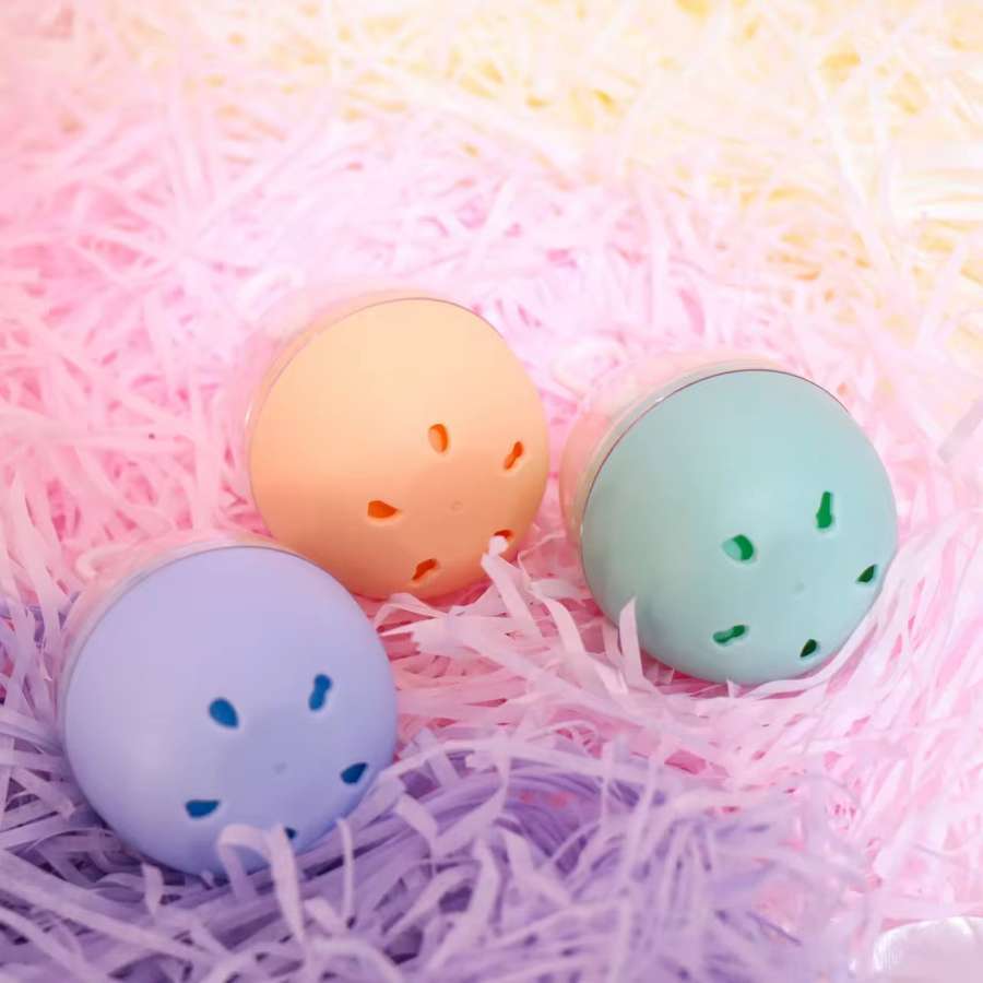 IMG_5295.webp