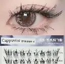 رموش cappuvina مع لاصق 24 ساعة